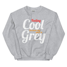 Load image into Gallery viewer, FoodFight &quot;Feeling Cool because my shirt is Grey&quot; Sweatshirt
